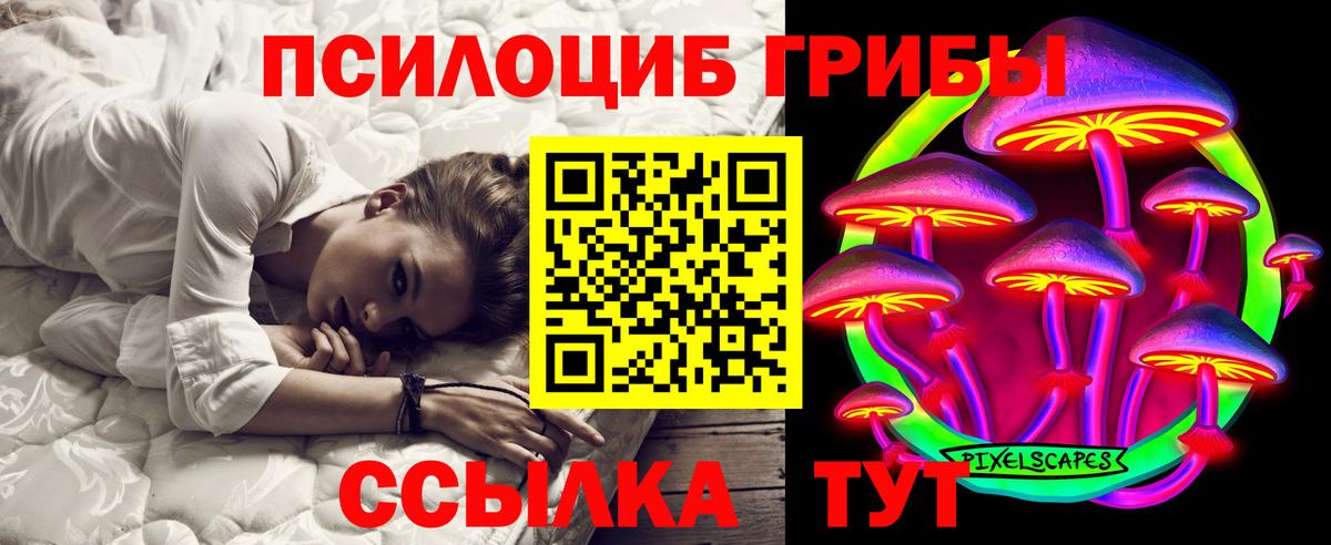 Галлюциногенные грибы прущие грибы  Вход с VPN  Котлас 