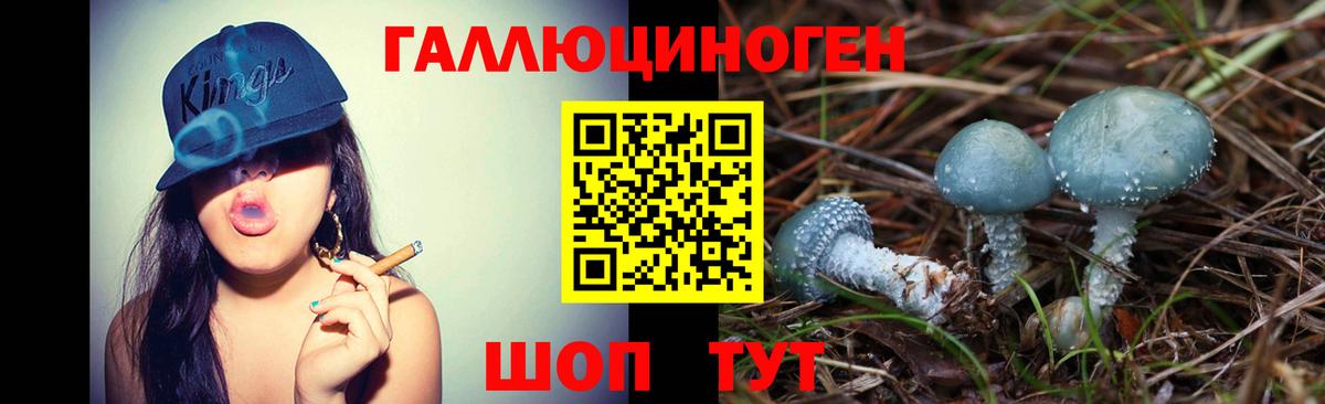 Псилоцибиновые грибы GOLDEN TEACHER Котлас